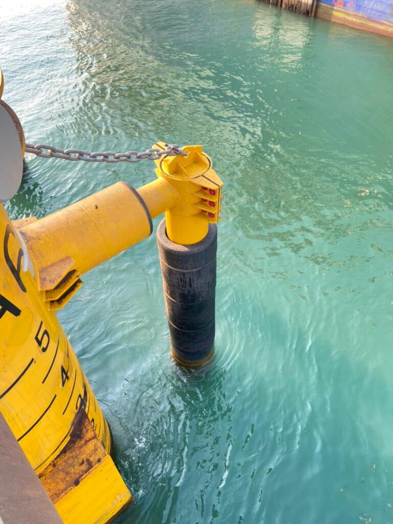 51d904e9-45b6-4dbc-b843-a57c1ab03936