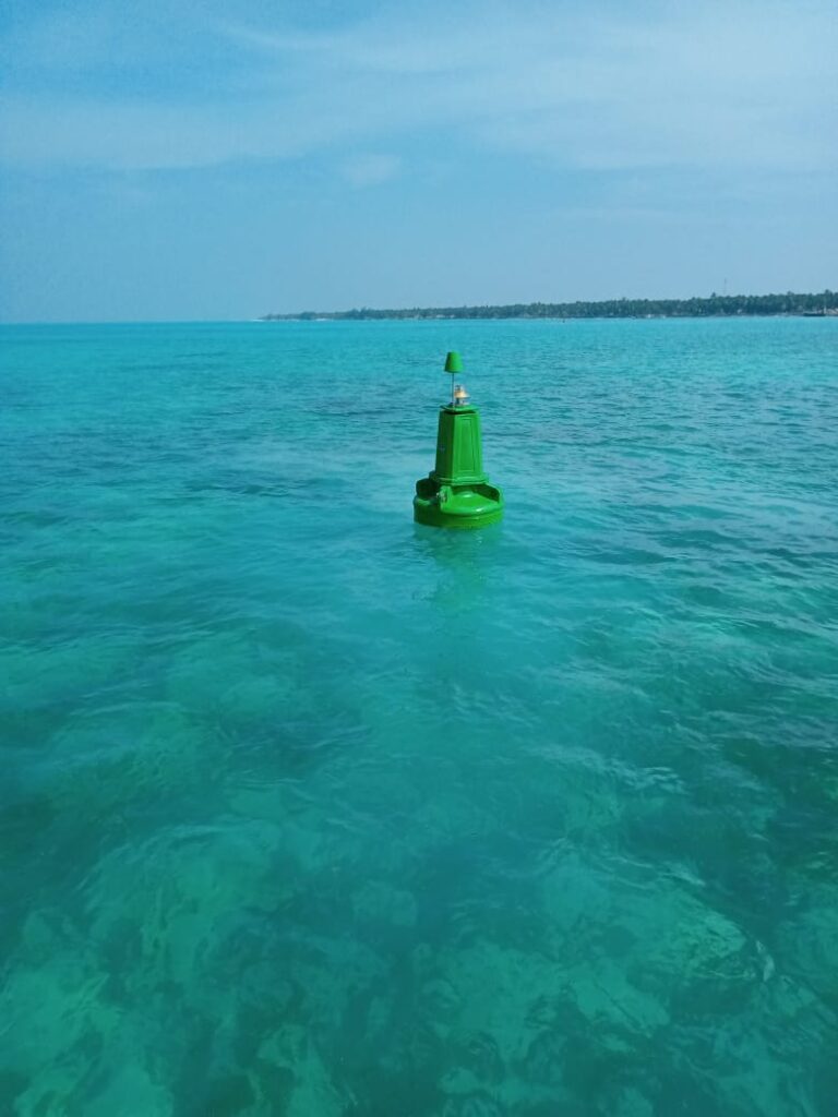 8fda1140-e28c-48d5-b95c-41a9bb7c941a